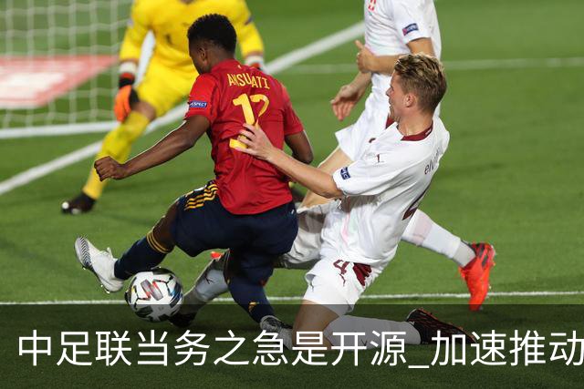 中足联当务之急是开源 加速推动中国足球职业化